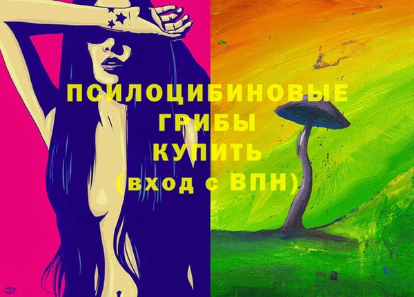 меф Белокуриха