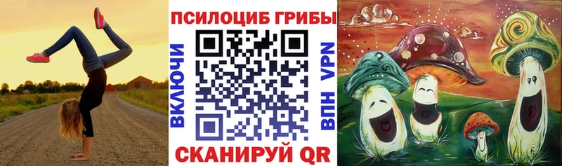 это телеграм  Болохово  Галлюциногенные грибы прущие грибы  blacksprut как войти 