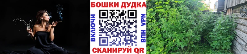 гидра ссылки  Болохово  МАРИХУАНА конопля 